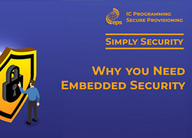 Why you Need Embedded Security